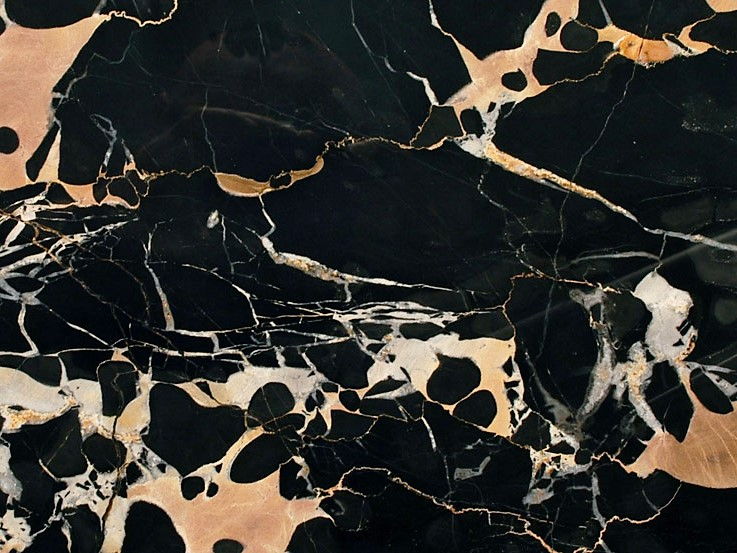 Nero Portoro Black Marble